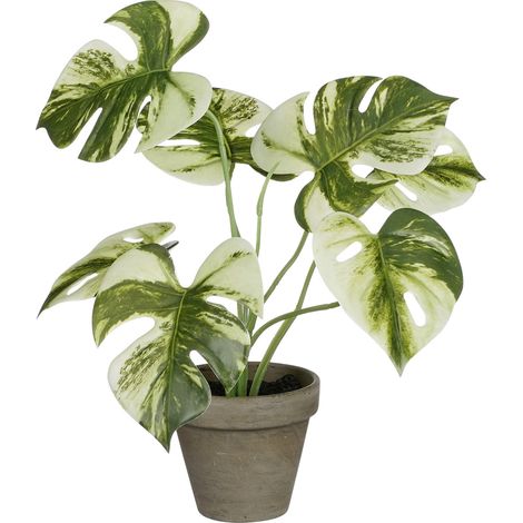 Mica Decorations Monstera  polypropylene 30 x 24 cm grün Pflanze