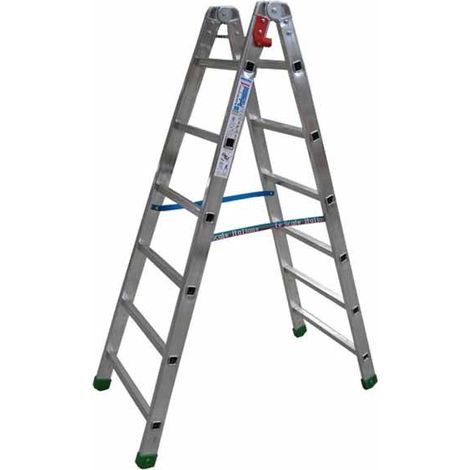 Scala All Doppia Salita Professional 1 Gradini 6 Facal