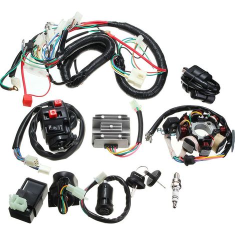 Motorrad-Kabelbaum für 125-250 cm³ ATVs – Komplettes CDI-Zündspulen-Kabelbaum-Set – 12 V Wechselspannung – Professionelle Installation empfohlen – Dmtool (1/5)