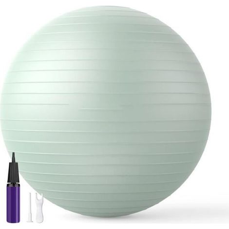 Balles d'exercices Fitness Très épais,65CM Swiss Ball, Ballon de Gym avec Pompe Rapide, Anti-éclatement et Anti-dérapant Yoga Ball (1/3)