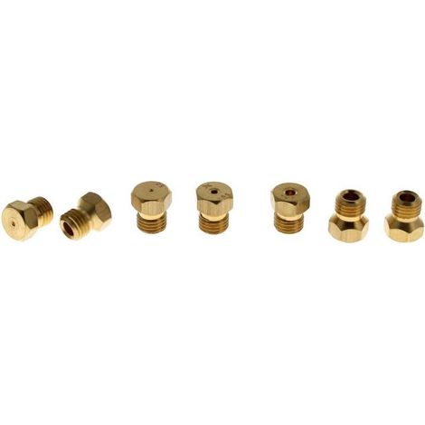 Kit Injector Lpg G30 for Indesit/Hotpoint Cookers and Ovens (1/2)