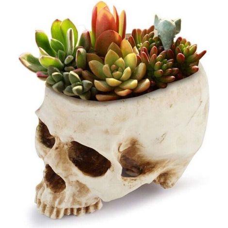 Pot De Fleurs - Tête De Mort - Résine - 16,5 x 11,5 x 11 cm - Intérieur Extérieur - 1 Pièce (1/4)