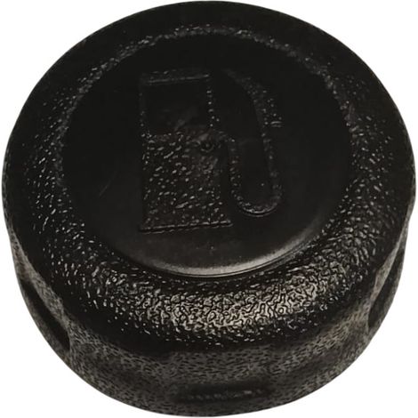 Tapon Gasolina compatible con Sr 1P65F  Ref 974576