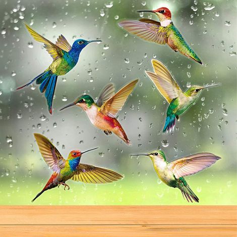 (18 Pièces)Autocollant de Fenêtre de Colibri Décalques de Vitre Anti-Collision pour Empêcher d’Impact d'Oiseau sur Fenêtre Autocollants pour Colibris (1/5)