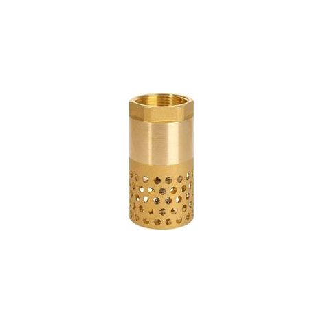 Clapet anti-retour pompe 1 pouce - clapet de pied clapet crepine anti retour (1 pouce) (1/3)