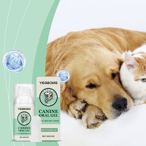 Gel nettoyant pour l'hygiène buccale des animaux de compagnie : nettoie en douceur la bouche du chien et rafraîchit son haleine – 30 g + doigtier (1/5)
