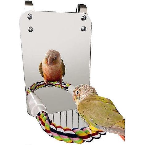 Miroir jouet oiseau avec corde perchoir, jouet à mordre perroquet, perche griffes, accessoire cage pour perruche, divertissement rongeur, lot unique. (1/5)