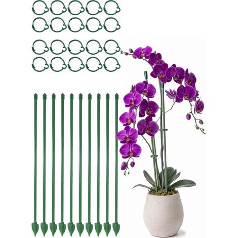 (10er-Pack) Orchideen- und Blumenstäbe, 30 cm hoch, verstellbare und unauffällige Pflanzenstütze mit Clips, stabile Stützstäbe für (1/5)