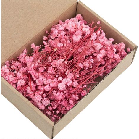 Lot de 50 gypsophiles blanches séchées accessoires floraux préservés pour la décoration intérieure et événementielle multicolore - 4 (1/4)