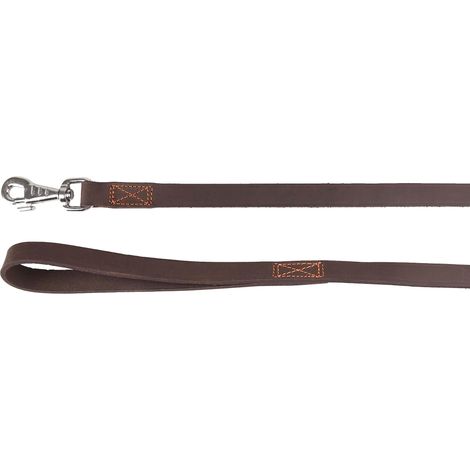 Laisse Brun 130CM 20MM