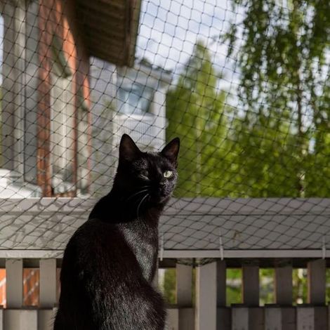 Filet pour Chat de Balcon et fenêtre 6x3m, sans perçage, en Nylon , pour terrasse, fenêtres et Portes. (Noir)