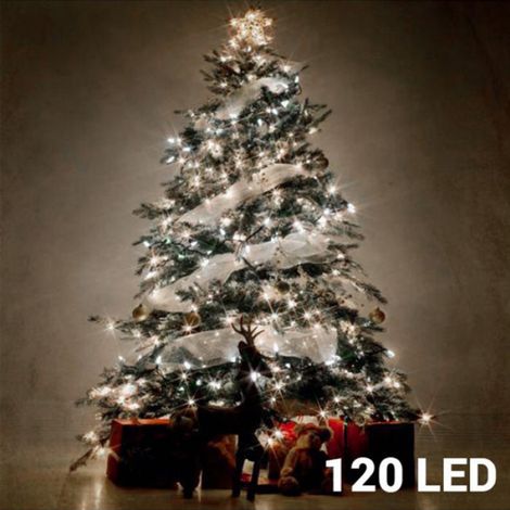 Ghirlanda Multifunzione 120 LED Bianco Freddo 220V 12m IP44 (1/5)