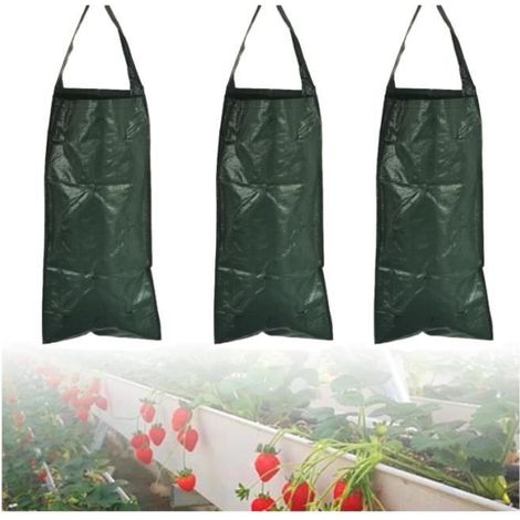 Pflanzsack - Nicht spezifiziert - 3 Stück - 10 Löcher - 58 x 25,5 cm - Grün