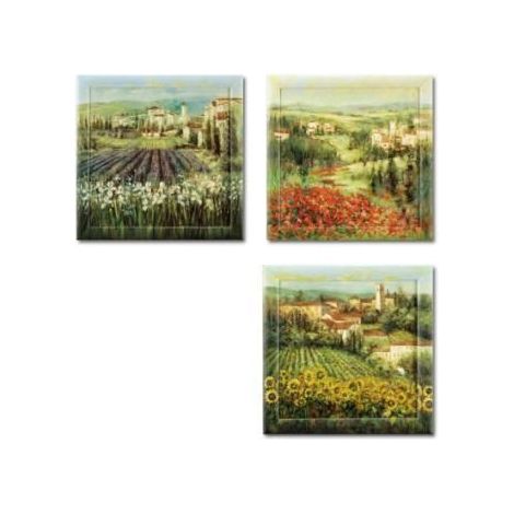 Quadro da Parete oleografico cornice dipinta 45 x 45 cm 3 Modelli (1/2)