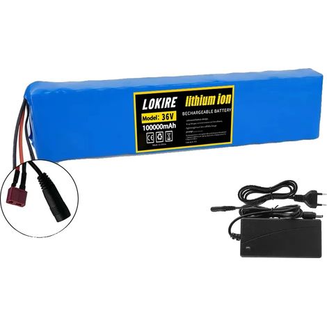 Lithium-Ionen-Batterie, 100Ah Kapazität, 36V Spannung, T-DC-Ladegerät (1/2)