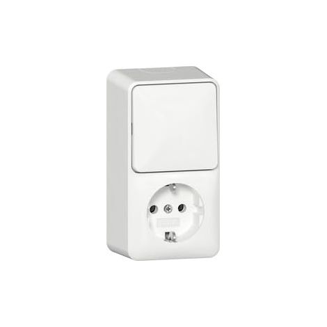 GIRA 417613 COMBINAISON DE PRISES IP20