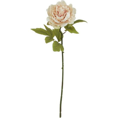 The Natural Garden Collection Blush Peony (Single Stem Flower) - Plastic - Height 52 cm - Pink