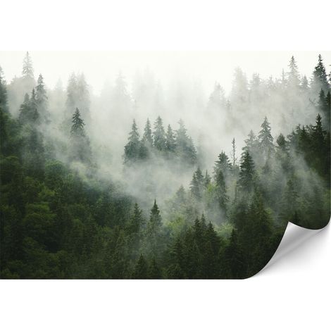 Papel pintado no tejido estándar - 100 x 70 cm - estilo ecléctico - naturaleza Papel pintado no tejido premium - 450 x 315 cm - estilo ecléctico - naturaleza
