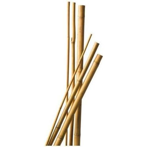 Paquete de 10 soportes para plantas de bambú, 120 cm de largo, 6-8 mm de diámetro (1/2)