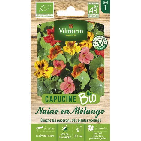 Vilmorin – Capucine naine variée BIO – Graines multicolores à semer en jardinières ou massifs – Période de semis : printemps – Exposition : soleil (1/3)