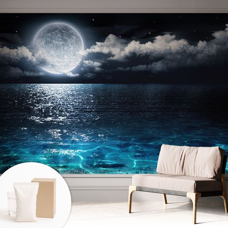 Carta Da Parati Non Tessuto - Con Colla Inclusa per Camera da Letto - Facile da Applica - Motivo decorativo Mare notturno 312x219 cm (1/5)
