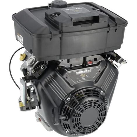 Moteur BRIGGS & STRATTON 3564420667F1