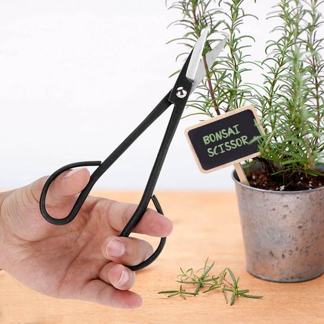 Ciseaux de jardin en acier inoxydable de 190 mm pour bonsaï, cisaille à racines et outils de taille (1/5)