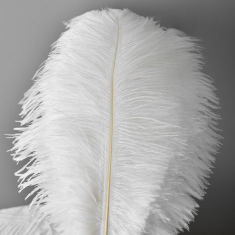 10 pièces de plumes d'autruche, Plumes Grand Pour la maison Décoration de mariage, Bricolage, Plumes d'autruche Vase (Blanc) (1/5)
