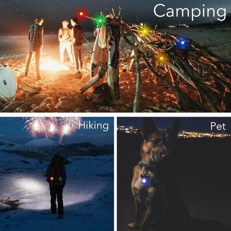 Lampe LED pour collier (lot de 6)–Lumière de sécurité clignotante– Pour les promenades nocturnes–Convient aux chiens aux chats (1/5)