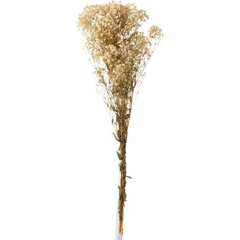 Bouquet de Fleurs "Gypsophile Séché" 84cm Écru