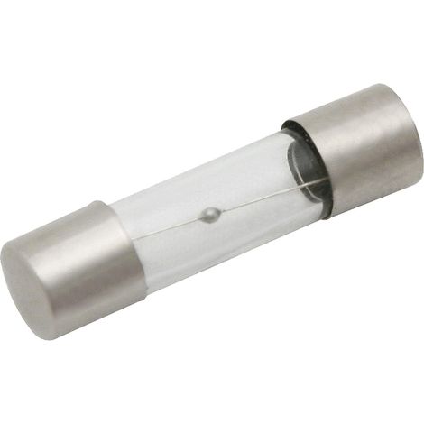 Blow WTA-T Fusible Retardé Transparent 20 mm 250 mA