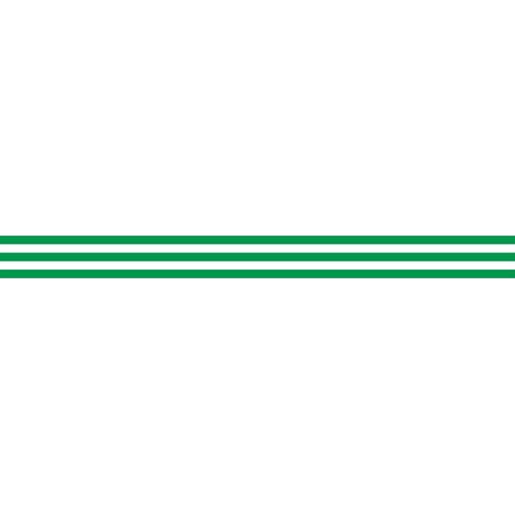 Lot 2 bandes 100mm x 1m - Lignes Parallèles Vert - 4641522