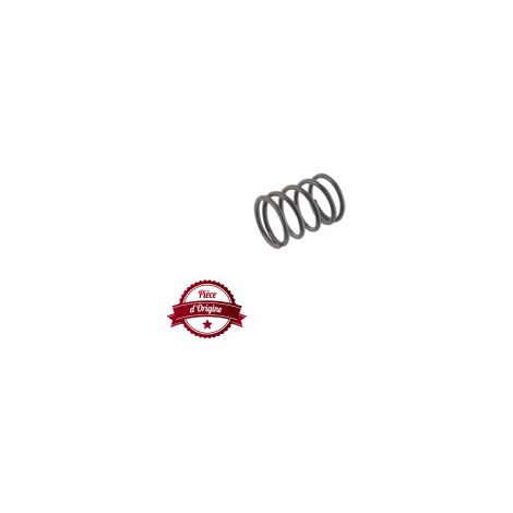 Ressort de soupape BRIGGS ET STRATTON 691304