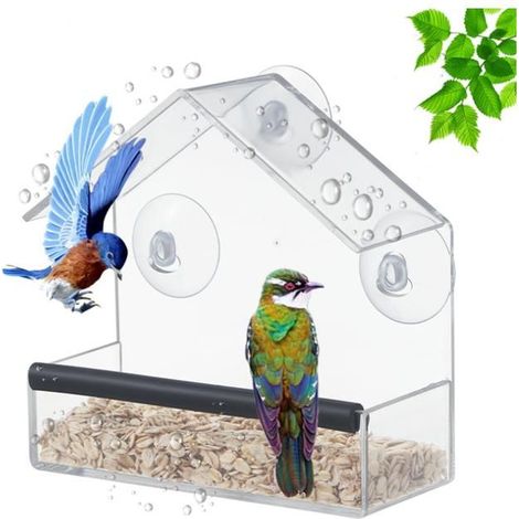Mangeoire à Oiseaux pour Extérieur 15 x 15 x 6cm, Bird Feeder, Mangeoire Transparente pour Oiseaux, avec Ventouses Puissantes (1/5)