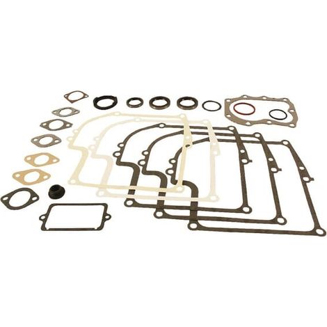 Set di guarnizioni BRIGGS ET STRATTON 299577