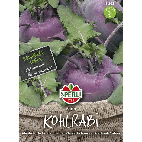 Sperli – Chou-rave Blaro blau (Brassica oleracea) – Graines de légumes, bulbe bleu-violet, hauteur env. 45 cm (1/2)