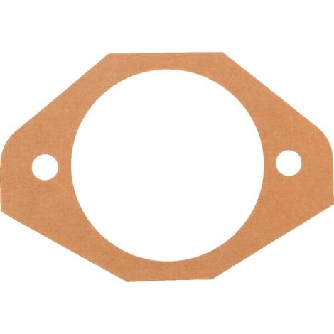 Junta 0,1 mm MASCHIO M38100115R