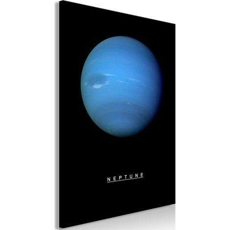 Tableau Imprimé "Neptune" 60 x 90 cm (1/2)