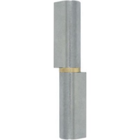 – Paumelle à souder à bague laiton 100 mm – Charnière réversible pour portail – Axe en acier – 106 (1/5)