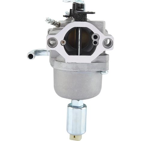 Kit de Carburateur, Kit de Réparation de Reconstruction de Carburateur avec Joint de Joint de Cuvette de pour 14,5 Ch - 21 Ch 796109 591731 594593 (1/4)