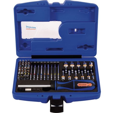 Projahn 1/4 Bit Box mit markierten Bits 60-tlg. inkl. Ratschenschraubendreher mit Bitfach (1/5)