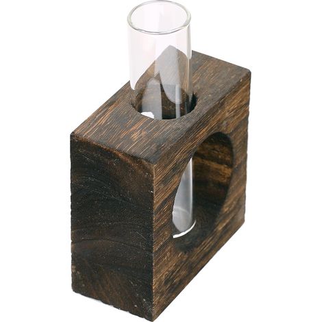 Vase Tube à Essai En Verre Avec Support En Bois Pour Plantes Hydroponiques (1/5)