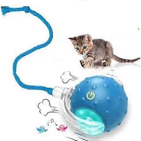 Kleines interaktives Spielzeug für Haustiere: Apportierball (1/5)