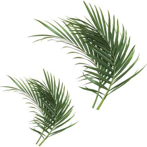 Stickers - Feuilles De Palmier - Hauteur 92.71 cm (1/3)
