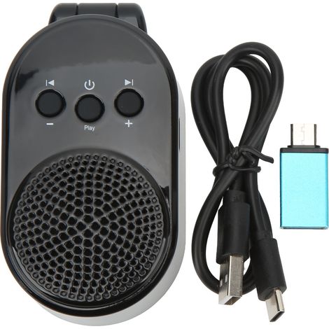 Enceinte d'accompagnement Bluetooth 5 W pour instruments à vent électriques, branchement direct, enceinte de scène portable (1/5)