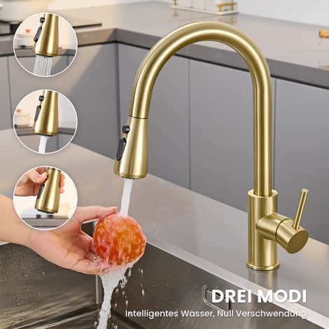 Ausziehbare Küchenarmatur mit 2 Straharten Küche Wasserhahn Mischbatterien für die Küche Spültischarmatur mit Brause 360° Drehbar, Gebürstetes Gold (1/5)