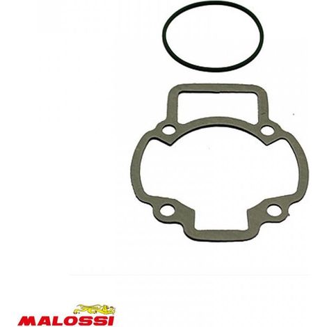 Motorlager Malossi für Piaggio Scooter 50 ZIP Neu