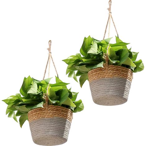Corbeille fleurs pendante en osier gris (20cm, 2 pièces) avec corde chanvre pour plantes pothos - Déco murale rustique (1/5)