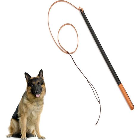 Hundetrainingspeitsche aus Kunstleder, professionelles Hundetrainingsgerät mit Griff, Haustierbedarf (1/4)