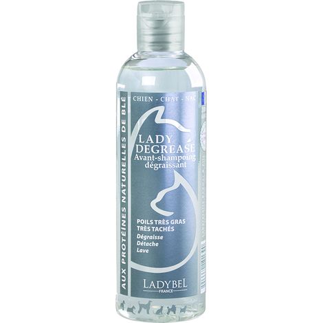 Lady Degrease par LadyBel : 200 ml